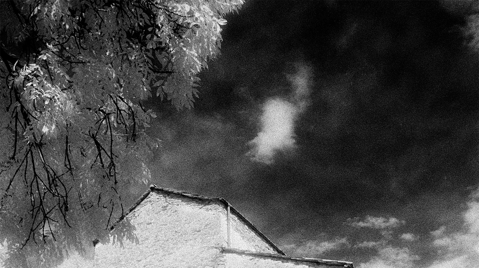 Black and White Tales, Print 13