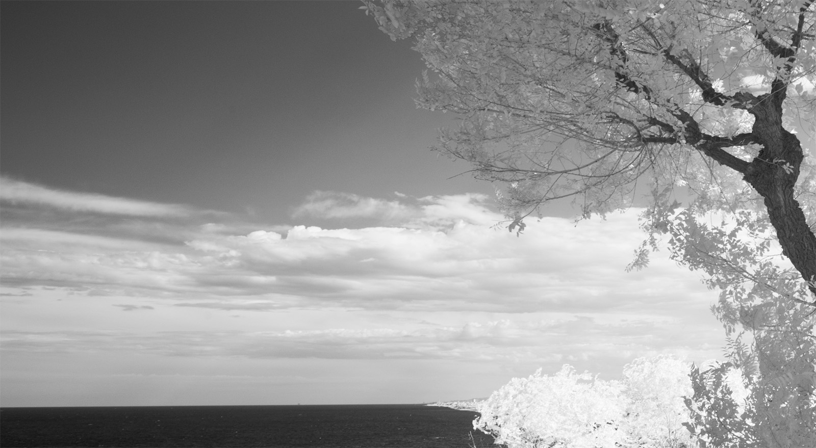 Black and White Tales, Print 29 by Luigi Barbano